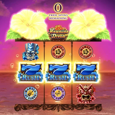 ハワイアンドリーム(Hawaiian Dream)のハイビスカスラッシュ